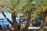 Palmenstrand von Vai