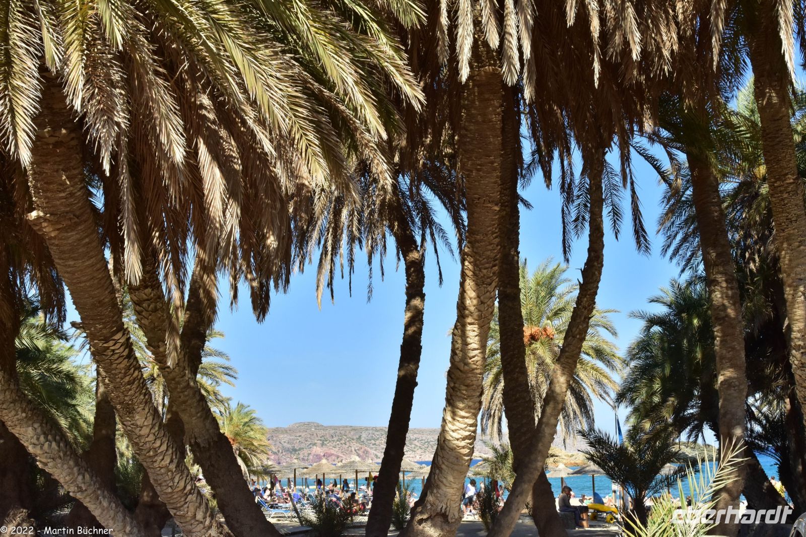 Palmenstrand von Vai