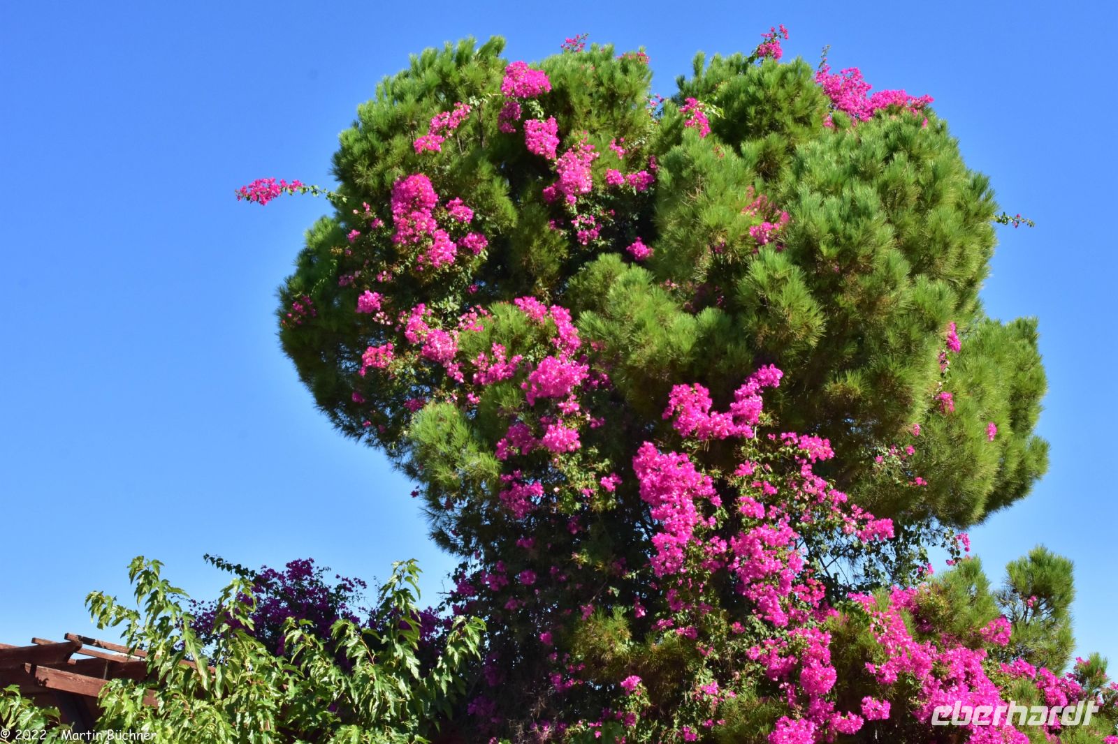 Messara Ebene - Minoische Stätte Faistos