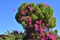 Messara Ebene - Minoische Stätte Faistos