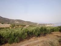 206 Ruine Gournia