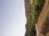 207 Ruine Gournia