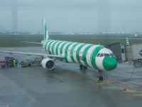 DSCN7152.JPG unser Leipziger Flugfrosch