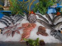 DSCN7297.JPG    Fangfrisch lecker