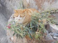 DSCN7369.JPG   ich wohne auch hier