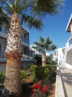 DSCN7386.JPG     Tschüß 