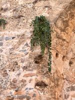 Insel Spinalonga (5)