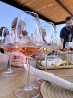 Weinverkostung (4)