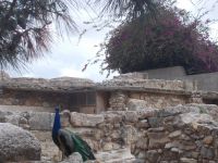 DSCN8960.JPG   ich wohne auch hier