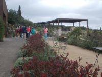 DSCN8979.JPG   Weingut Lyrarakis