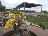 DSCN8980.JPG   Weingut