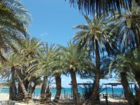 DSCN9010.JPG  Palmenstrand Vai