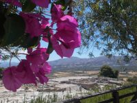 DSCN9042.JPG    Ausgrabung Festos