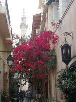 DSCN9076.JPG  Rethymnon