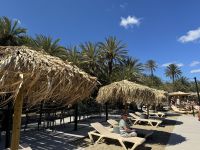 Palmenstrand von Vai (4)