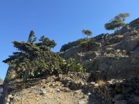 Spinalonga (8)