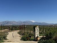 ...auf dem Weingut Lyrarakis (1)