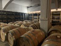 ...auf dem Weingut Lyrarakis (2)