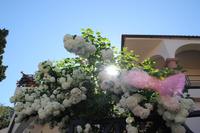 Kreta - Marien-Kloster Panagia i Kardiotissa