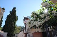 Kreta - Marien-Kloster Panagia i Kardiotissa