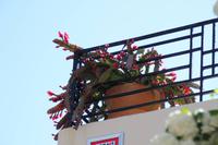 Kreta - Marien-Kloster Panagia i Kardiotissa