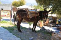 Kreta - Lastenesel zur Zeushöhle