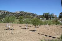 Kreta - Dorf Tsermiadon