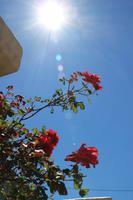 Kreta - im Dorf Krasi