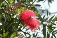 Kreta - Flaschenputzer