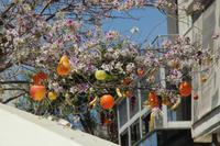 Kreta - Frühling in Heraklion