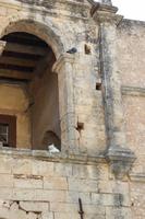 Kreta - Kloster Arkadi