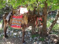 Abstieg von der Höhle von Psichro