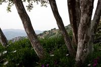 Ausblick Kera