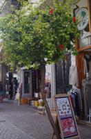 Chania