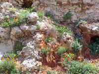 Chania
