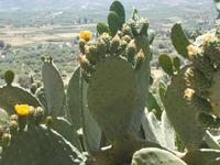 DSCN2975