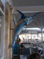 DSCN3029