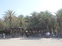 DSCN5864.JPG    Vai