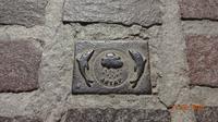 Delphine - Symbol der Stadt Rethymnon