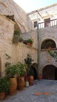 Kaktus auf Kreta im Kloster Toplou