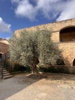 Kloster Arkadi (8)