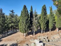 Knossos