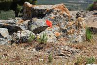 Kreta - Festos
