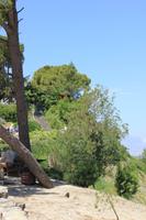 Kreta - Festos