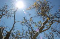 Kreta - Frühling