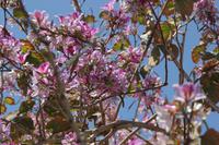 Kreta - Frühling