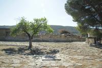 Kreta - Knossos