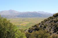 Kreta - Lassithi Hochebene