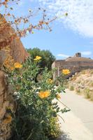 Kreta - Spinalonga