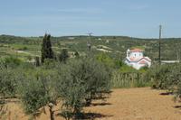Kreta - Thrapsano